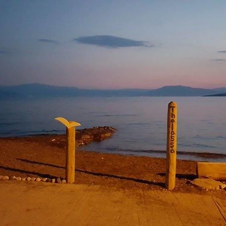 伊利亚'Αγριοι Λιμένες公寓 外观 照片