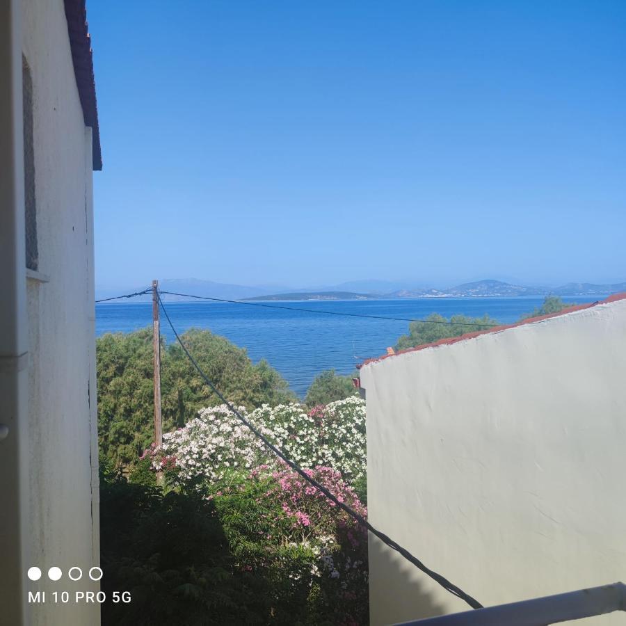 伊利亚'Αγριοι Λιμένες公寓 外观 照片