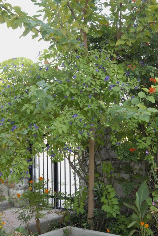 伊利亚'Αγριοι Λιμένες公寓 外观 照片
